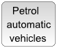 Petrol Automatic