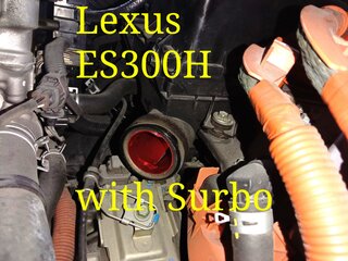 Photo: Surbo fitted on the Lexus ES300H