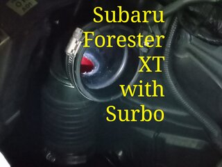 Photo: Surbo fitted on the Subaru Forester XT