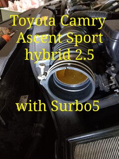 Photo: Surbo fitted on the Toyota Camry Ascent Sport hybrid 2.5