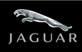 More Jaguar models